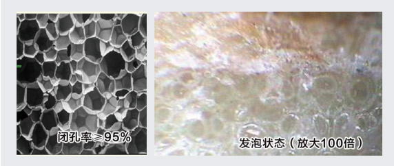 腾博会官网·专业效劳,诚信为本